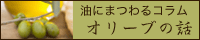 油にまつわるコラム オリーブの話